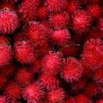 Rambutan Manis